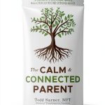 Parenting Emotions Kindle Book by Attachment Solutions Press 243‑Page-0