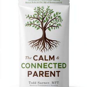 Parenting Emotions Kindle Book by Attachment Solutions Press 243‑Page-0